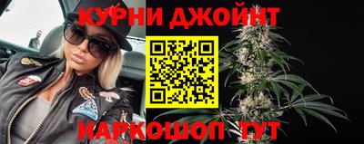 сатива Малгобек