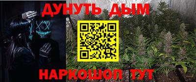 сатива Малгобек