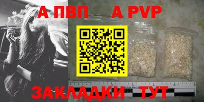 сатива Малгобек