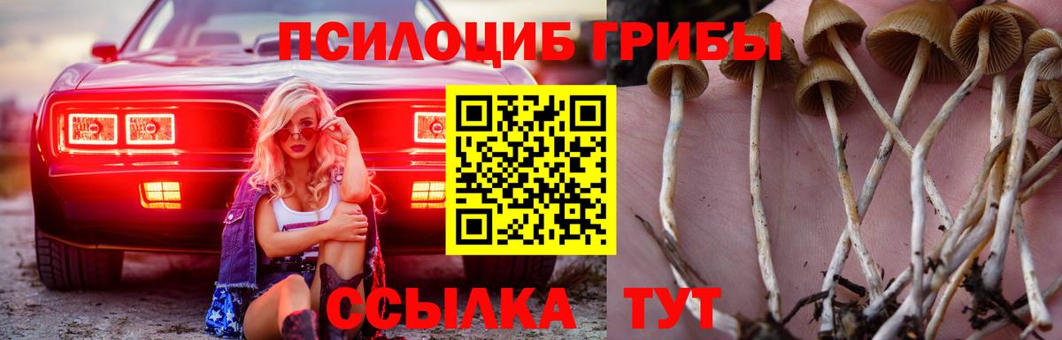 Псилоцибиновые грибы GOLDEN TEACHER Чехов